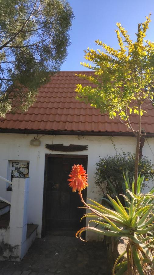 Atlantic Pearl Guest House ميدراند المظهر الخارجي الصورة